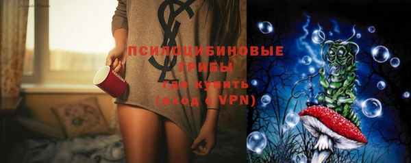 бошки Пестово