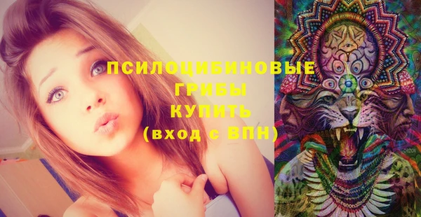 мескалин Покачи