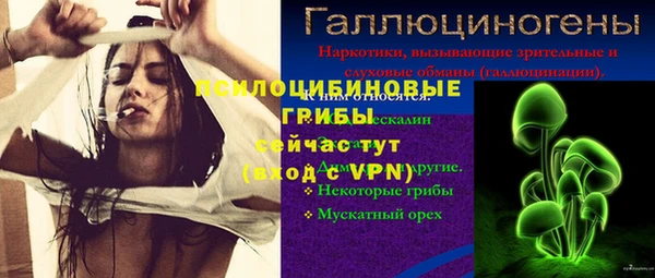 мескалин Покачи