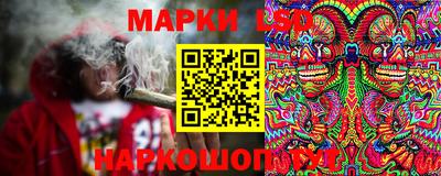 крисы Дубна