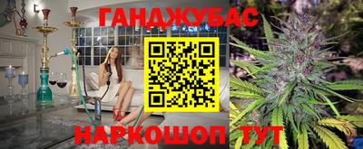 крисы Дубна