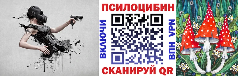 kraken ссылки  продажа наркотиков  Азов  Галлюциногенные грибы Psilocybine cubensis 
