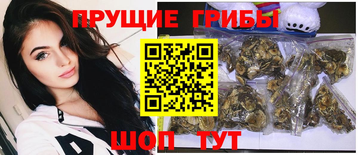 Псилоцибиновые грибы GOLDEN TEACHER Азов